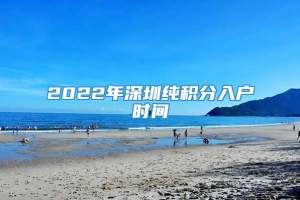 2022年深圳纯积分入户时间