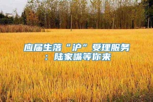 应届生落“沪”受理服务：陆家嘴等你来