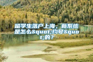 留学生落户上海，新系统是怎么"约号"的？