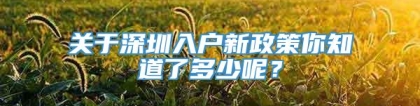 关于深圳入户新政策你知道了多少呢？