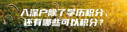 入深户除了学历积分，还有哪些可以积分？