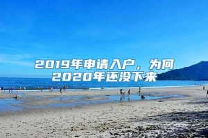 2019年申请入户，为何2020年还没下来