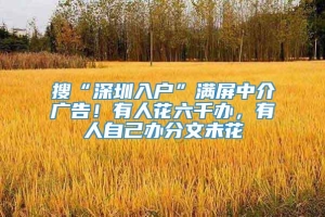 搜“深圳入户”满屏中介广告！有人花六千办，有人自己办分文未花