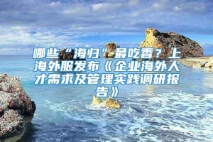 哪些“海归”最吃香？上海外服发布《企业海外人才需求及管理实践调研报告》