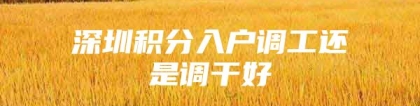 深圳积分入户调工还是调干好