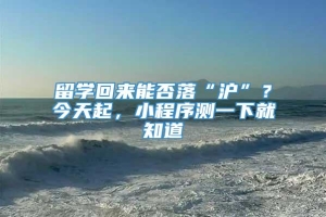 留学回来能否落“沪”？今天起，小程序测一下就知道