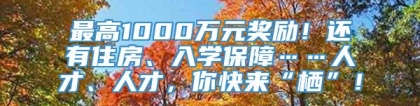 最高1000万元奖励！还有住房、入学保障……人才、人才，你快来“栖”！