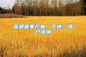 莲都首家产业“飞地”落户深圳