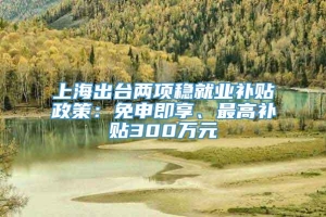 上海出台两项稳就业补贴政策：免申即享、最高补贴300万元