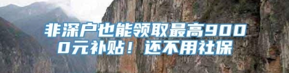 非深户也能领取最高9000元补贴！还不用社保