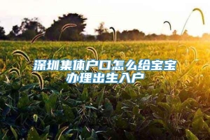 深圳集体户口怎么给宝宝办理出生入户