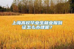 上海高校毕业生就业报到证怎么办理呢？