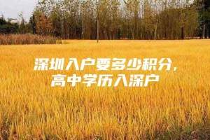 深圳入户要多少积分,高中学历入深户