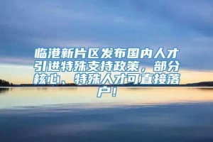 临港新片区发布国内人才引进特殊支持政策，部分核心、特殊人才可直接落户！