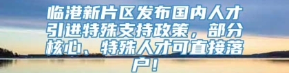 临港新片区发布国内人才引进特殊支持政策，部分核心、特殊人才可直接落户！