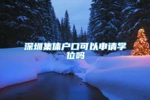 深圳集体户口可以申请学位吗