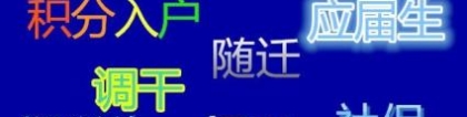 2022年深圳市人才引进中心是什么机构