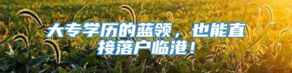 大专学历的蓝领，也能直接落户临港！