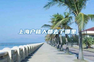 上海户籍人都去了哪里