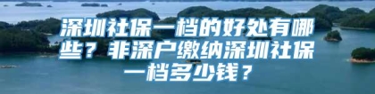 深圳社保一档的好处有哪些？非深户缴纳深圳社保一档多少钱？