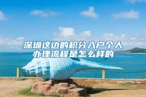 深圳这边的积分入户个人办理流程是怎么样的