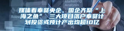 媒体看奉贤央企、国企齐聚“上海之鱼” 三大项目落户奉贤计划投资或预计产出均超10亿