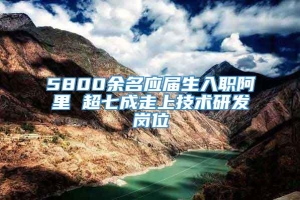 5800余名应届生入职阿里 超七成走上技术研发岗位