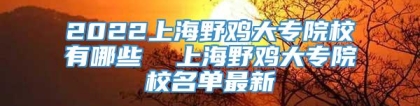 2022上海野鸡大专院校有哪些  上海野鸡大专院校名单最新