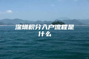 深圳积分入户流程是什么