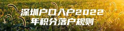 深圳户口入户2022年积分落户规则