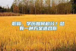 职称、学历如何积分？总有一种方案适合你