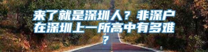 来了就是深圳人？非深户在深圳上一所高中有多难？