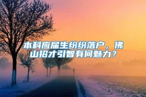 本科应届生纷纷落户，佛山招才引智有何魅力？