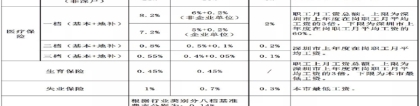 2022年深圳市人才引进流程政策