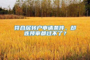 符合居转户申请条件，却连预审都过不了？