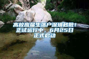 高校应届生落户深圳秒批！正试运行中，6月25日正式启动