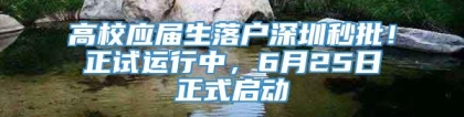 高校应届生落户深圳秒批！正试运行中，6月25日正式启动