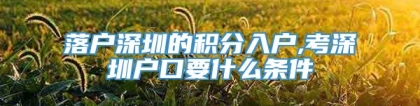 落户深圳的积分入户,考深圳户口要什么条件