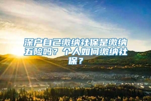 深户自己缴纳社保是缴纳五险吗？个人如何缴纳社保？