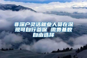 非深户灵活就业人员在深现可自行参保 缴费基数自由选择