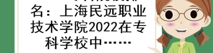 2022专科院校排名：上海民远职业技术学院2022在专科学校中排名第几？