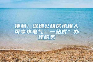 便利！深圳公租房承租人可享水电气“一站式”办理服务