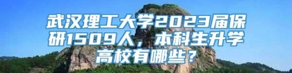 武汉理工大学2023届保研1509人，本科生升学高校有哪些？