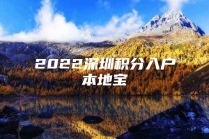 2022深圳积分入户本地宝