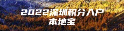 2022深圳积分入户本地宝