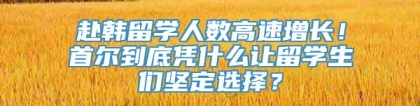 赴韩留学人数高速增长！首尔到底凭什么让留学生们坚定选择？