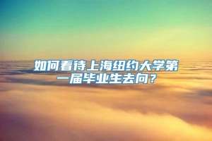 如何看待上海纽约大学第一届毕业生去向？