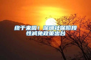 终于来啦！深圳社保阶段性减免政策出台