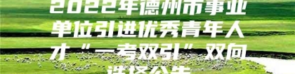 2022年德州市事业单位引进优秀青年人才“一考双引”双向选择公告