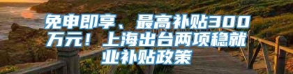 免申即享、最高补贴300万元！上海出台两项稳就业补贴政策